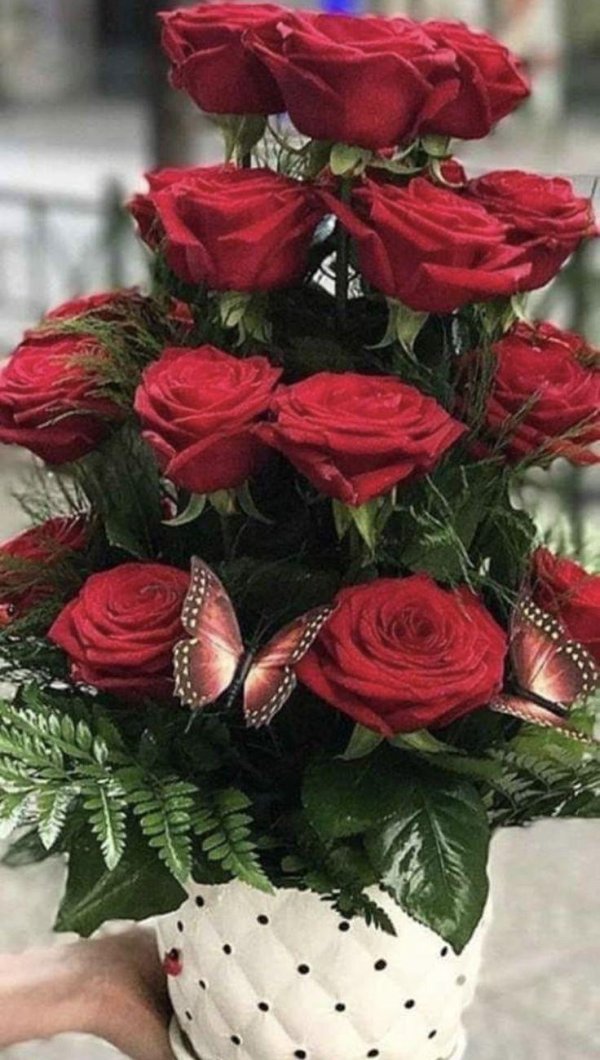 отличной субботы