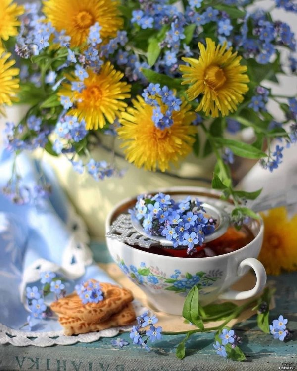 добрейшего летнего утра