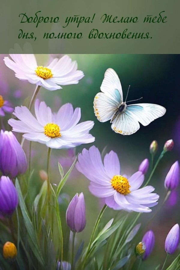 цветочные картины