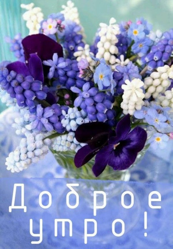 цветочная композиция