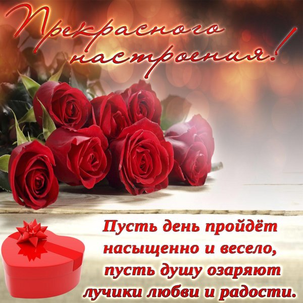 поздравление с прекрасным днем