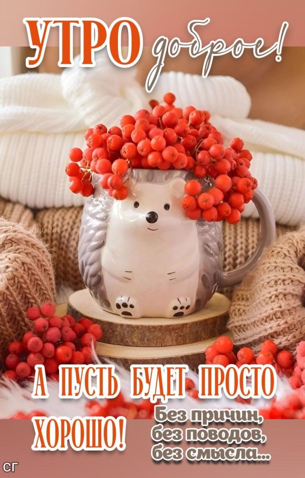 доброе утро сентября открытки красивые