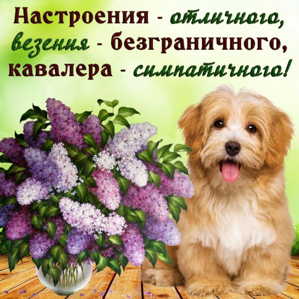 поздравительная открытка