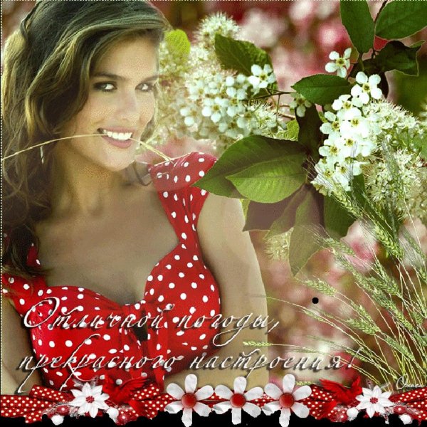 матурларым новинки