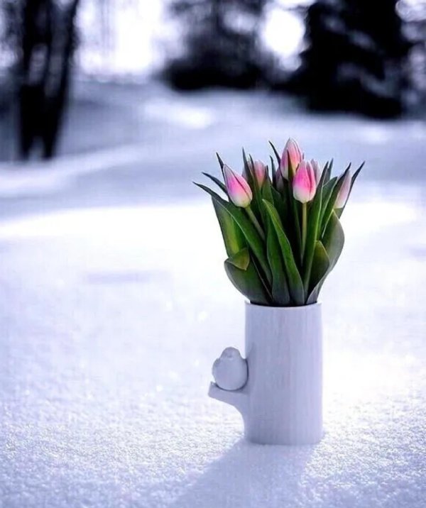 долгожданная весна