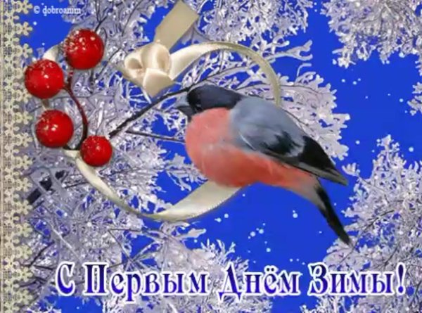 1 декабря первый день зимы