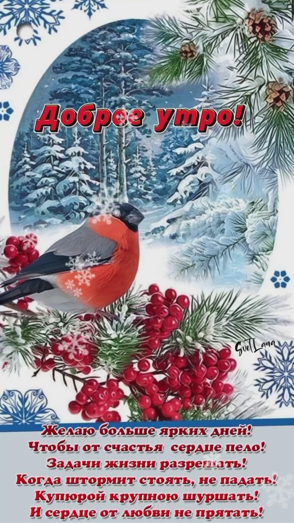 новогодние открытки со снегирями