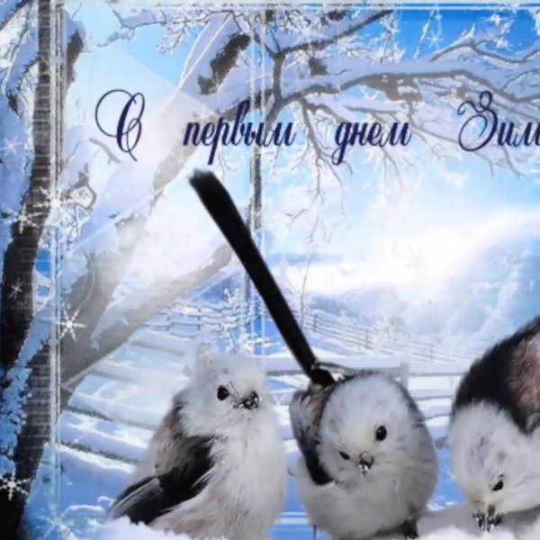 первый день зимы