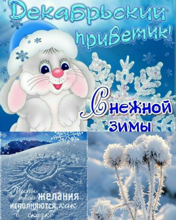 зимний привет