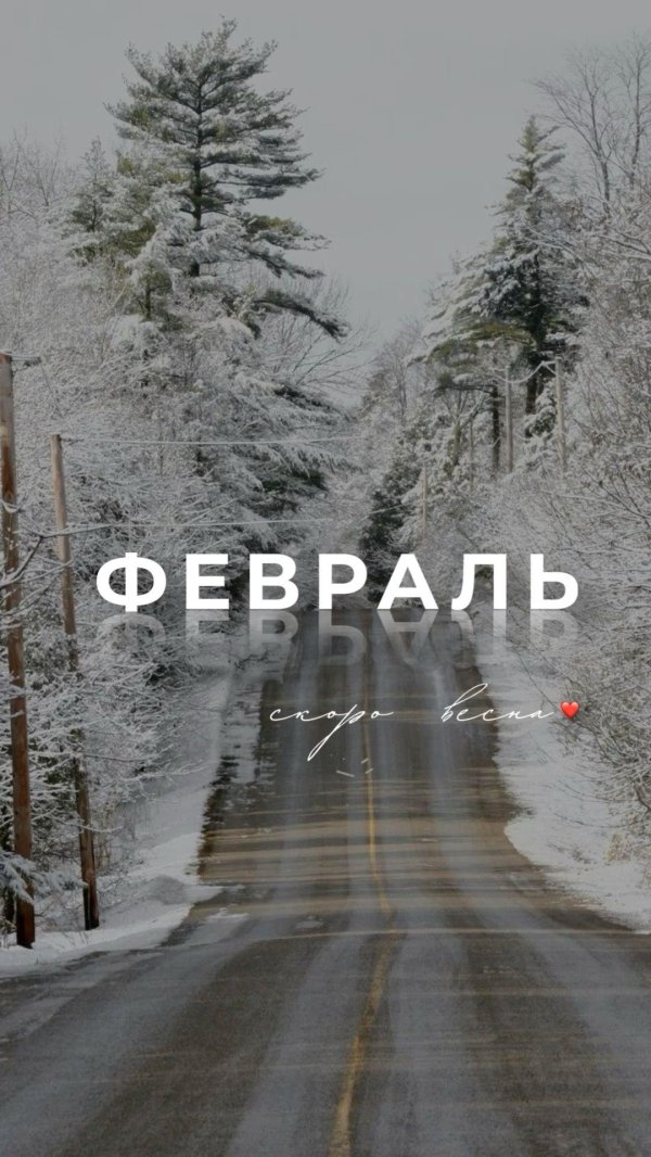 февраль высказывания