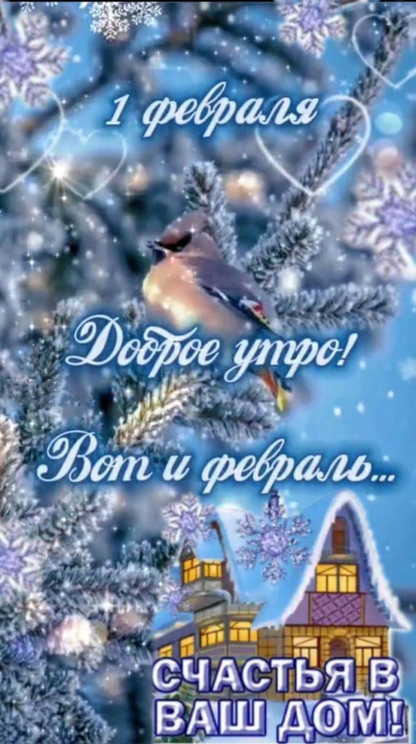доброго зимнего вечера февраля
