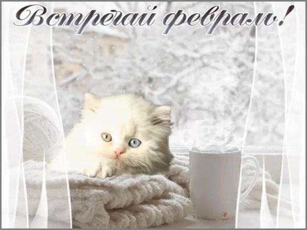 добрая зимнее утро