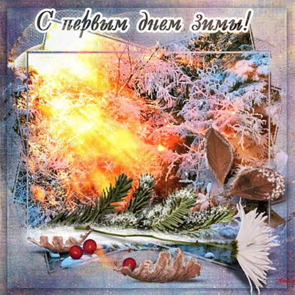 1 декабря первый день зимы