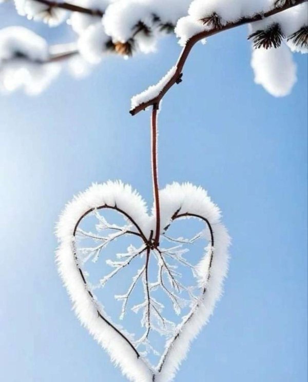 зимнее пожелание