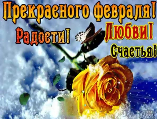 1 февраля