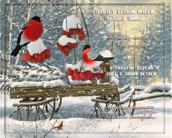 добрые пожелания на фоне зимнего пейзажа