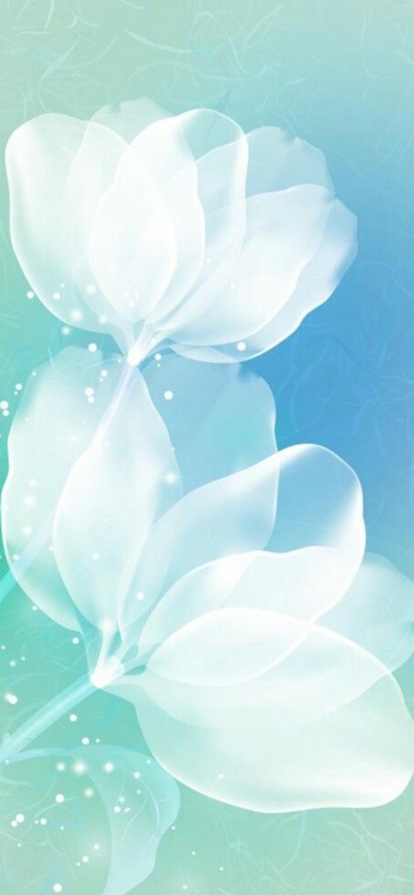 цветочные фоны