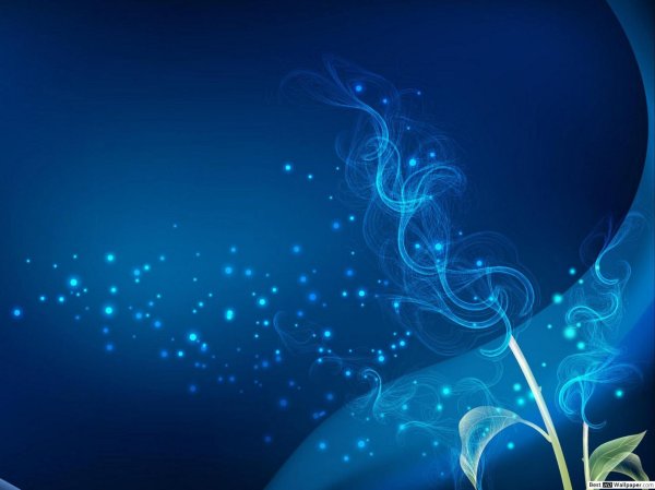 на синем фоне