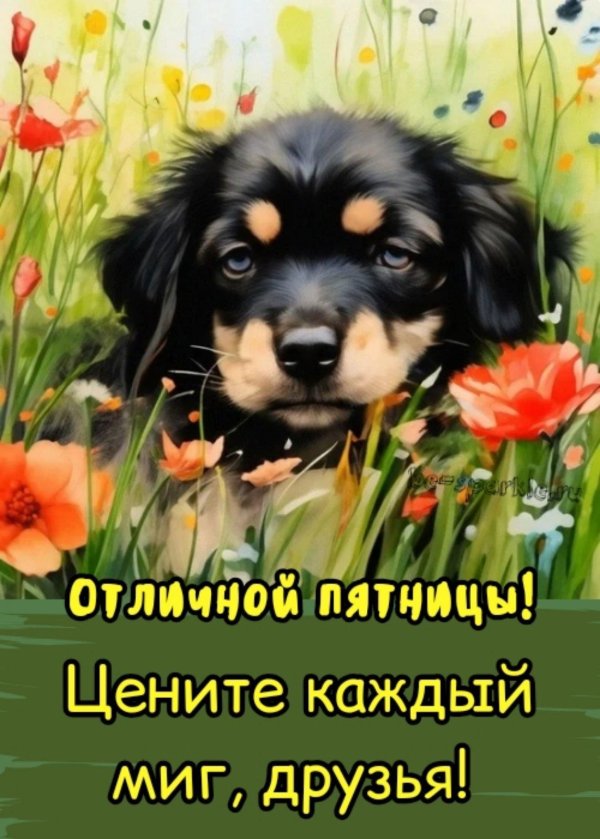 пятница лето