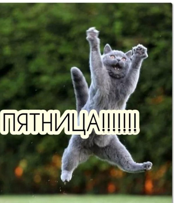 наконец то пятница