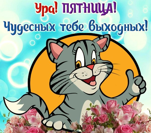 пятница поздравления