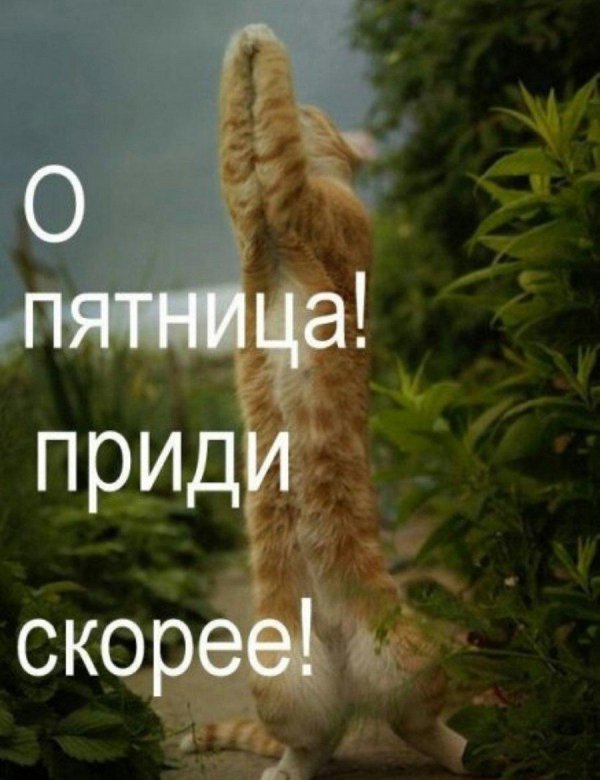скорее бы пятница