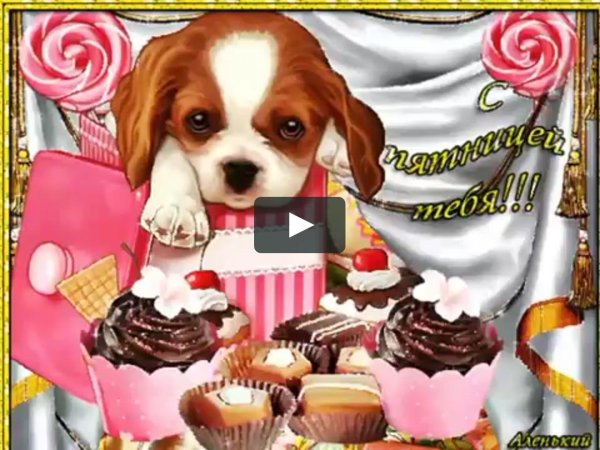 собачка милая