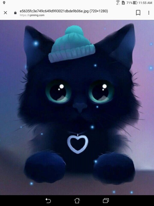 милый черный кот