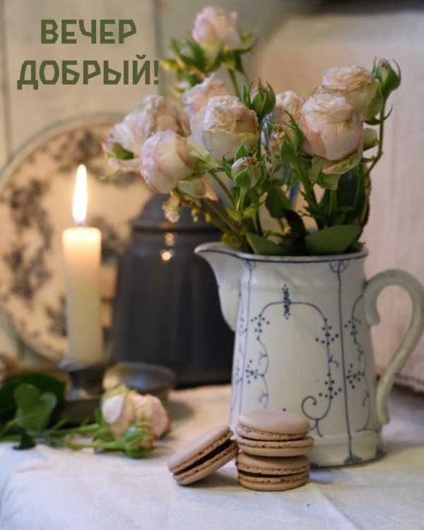 добр вечер
