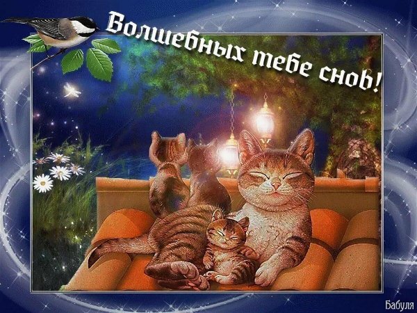 сказочный сон