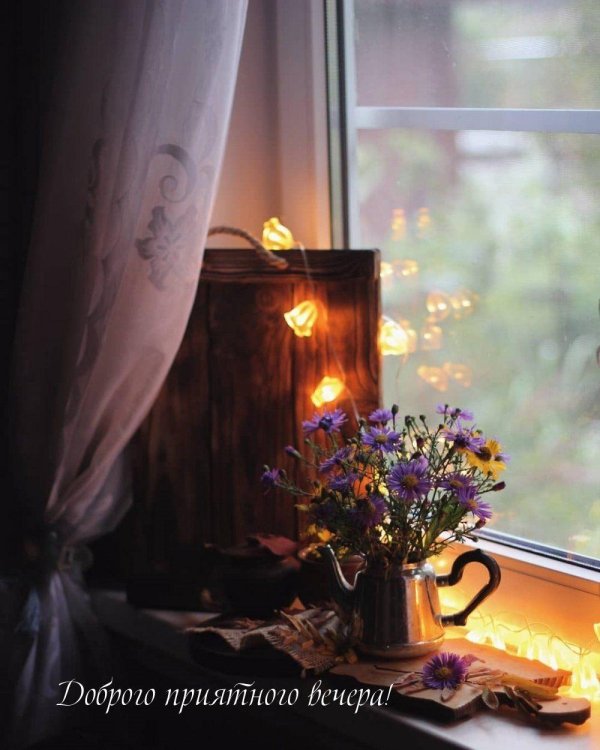 теплого летнего вечера