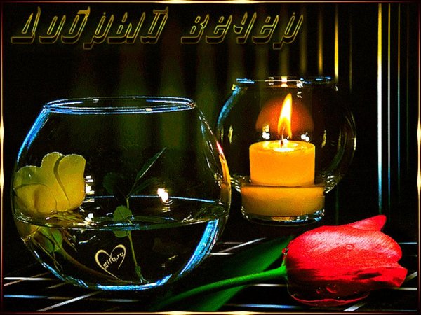 красивое поздравление с добрым вечером