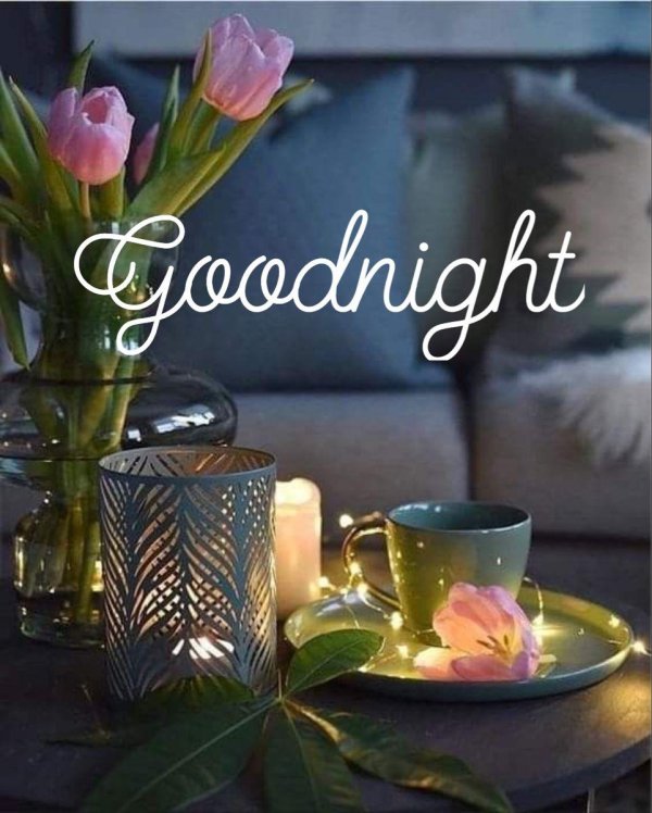 спокойная ночи