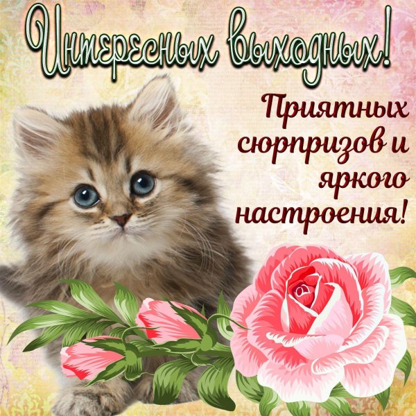 пожелание хорошего