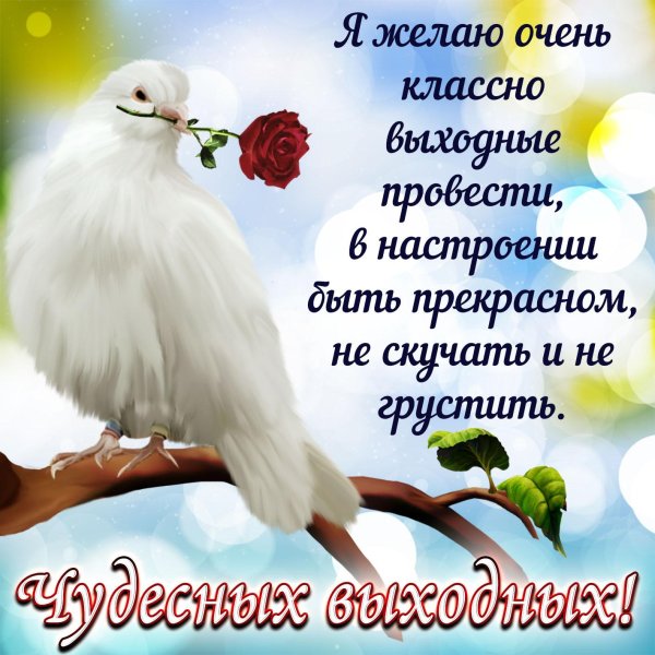 чудесно выходные
