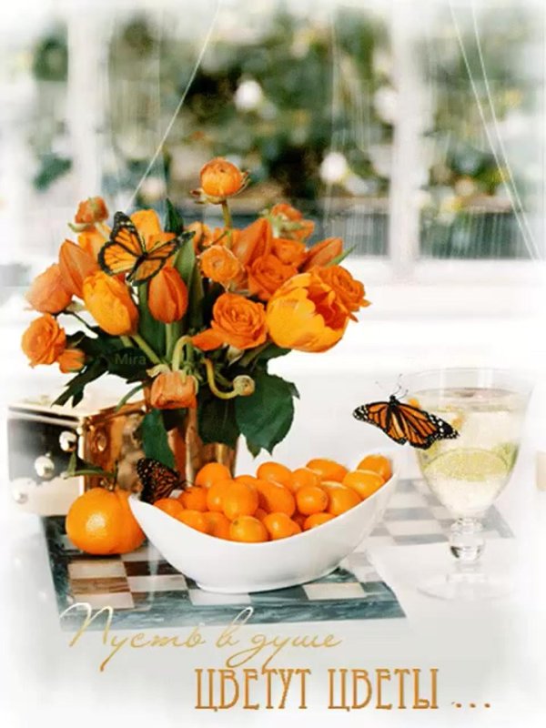 оранжевый натюрморт