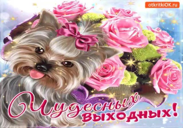 прекрасной субботы замечательных выходных