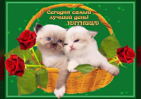 удачной пятницы