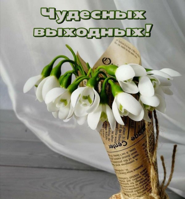 подснежник букет