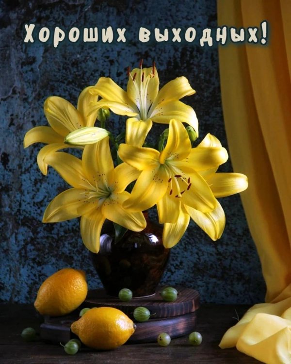 желтая лилия