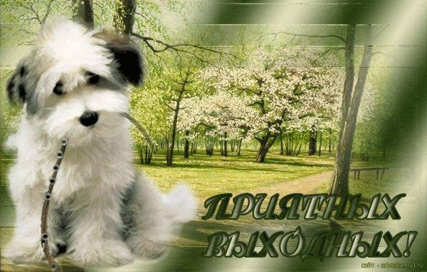 открытки отличных выходных