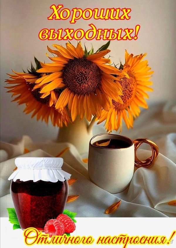 Хороших выходных и отличного настроения