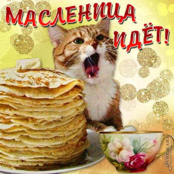 с масленицей прикольные поздравления
