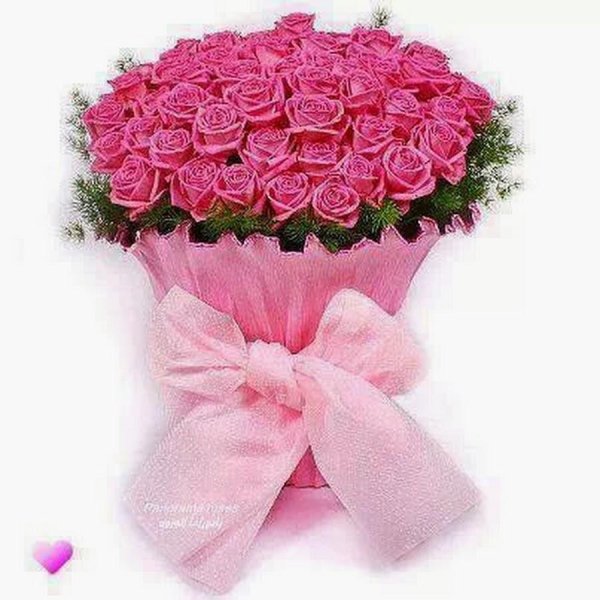 букет розовые розы