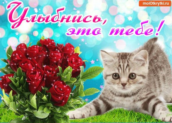 пожелания хорошего настроения