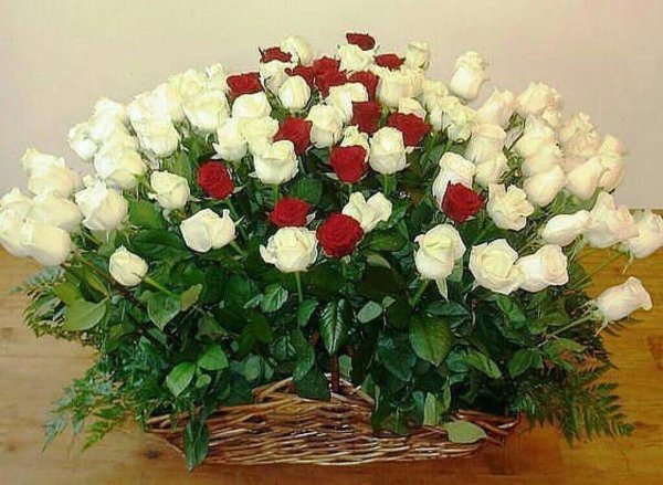розы корзина