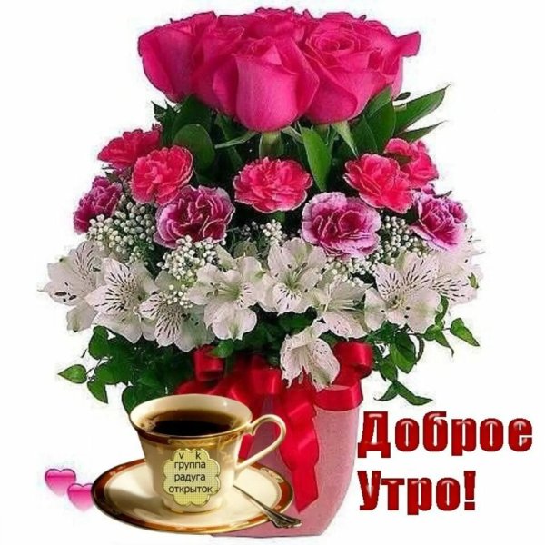 доброго утра цветы