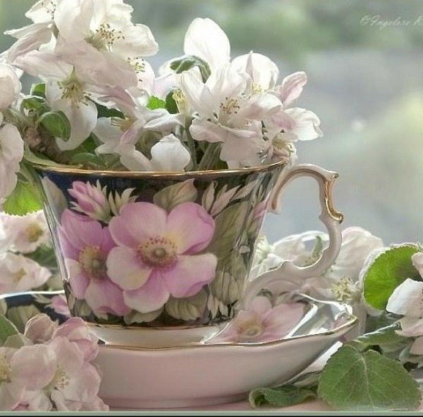 чайная чашка