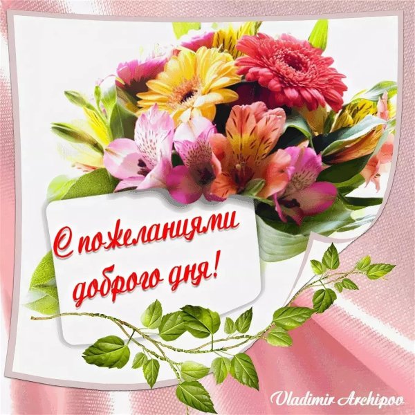 цветок гербер