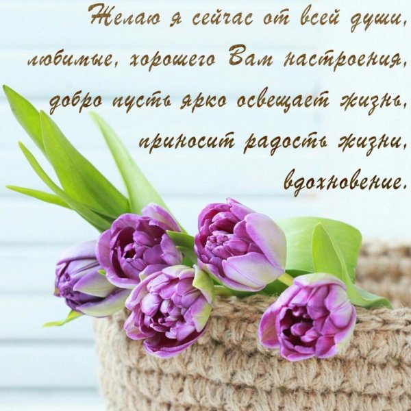 пожелания красивые